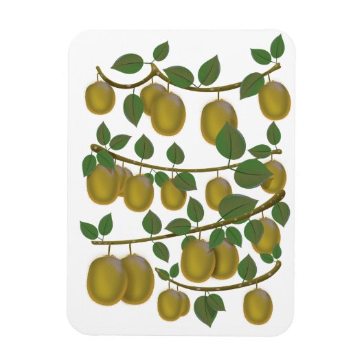Kiwi Fruit Magnet (Vertikal)