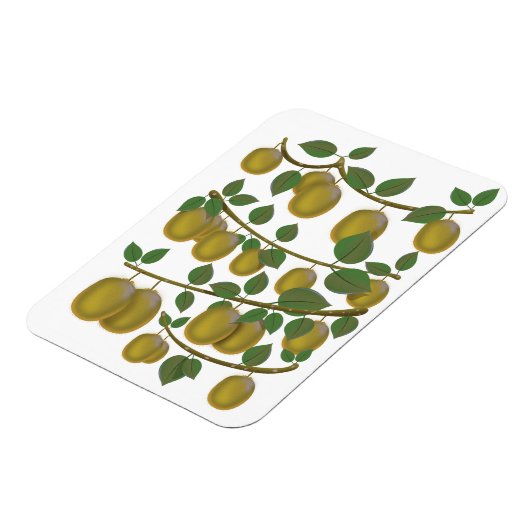 Kiwi Fruit Magnet (Linke Seite)