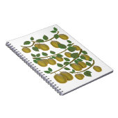 Kiwi Fruit Notizblock (Rechte Seite)