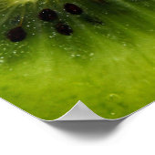 Kiwi Fruit Poster (Ecke)