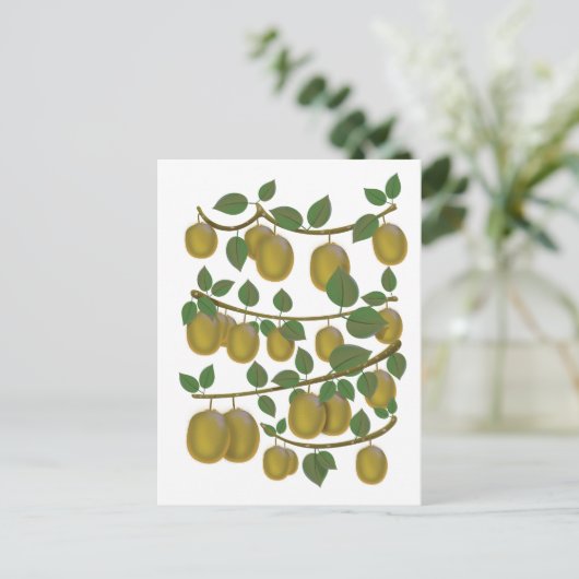 Kiwi Fruit Postkarte (Stehend Vorderseite)