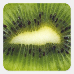 Kiwi Fruit Quadratischer Aufkleber
