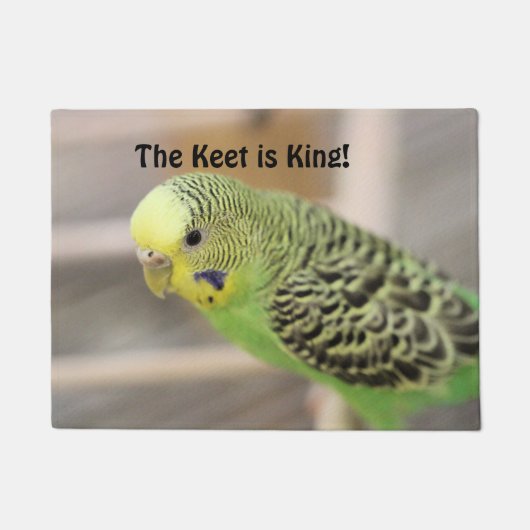 Kiwi Fußmatte (Vorderseite)