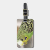 Kiwi Gepäckanhänger (Vorderseite vertikal)