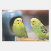 Kiwi Geschenkpapier Set (Vorderseite 3)