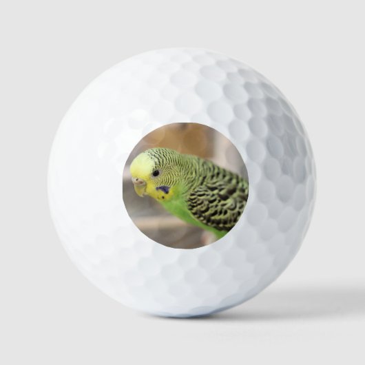 Kiwi Golfball (Vorderseite)