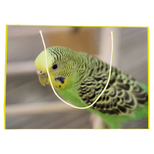 Kiwi Große Geschenktüte (Rückseite)