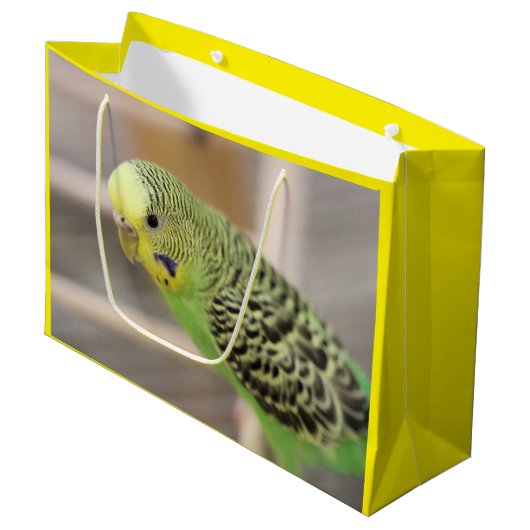 Kiwi Große Geschenktüte (Vorderseite Schrägansicht)