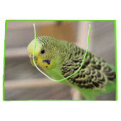 Kiwi Große Geschenktüte (Vorderseite)