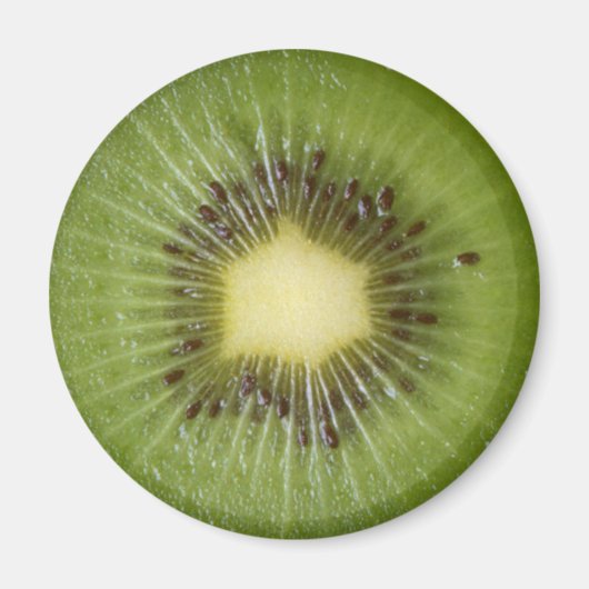 KIWI KÜHLSCHRANKMAGNET FÜR IHREN KÜHLSCHRANK (Vorne)