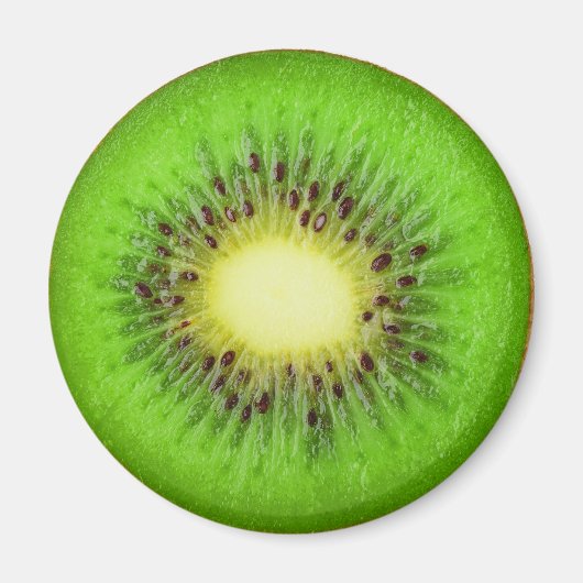 Kiwi Magnet (Vorne)