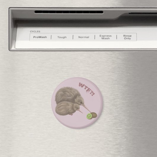 Kiwi Magnet (In Situ (Geschirrspüler))