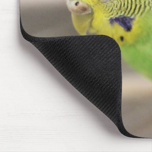 Kiwi Mousepad (Ecke)