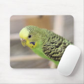 Kiwi Mousepad (Mit Mouse)