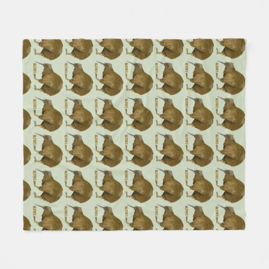 Kiwi N.Z. Bird Fleecedecke (Vorderseite (Horizontal))