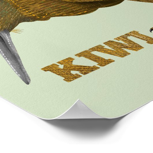 Kiwi N.Z. Bird Poster (Ecke)
