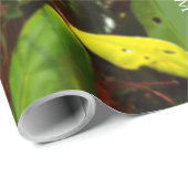 KIWI NZ RED GREEN POHUTUKAWA BLUME XMAS MESSAGE GESCHENKPAPIER (Rolleneckpunkt)