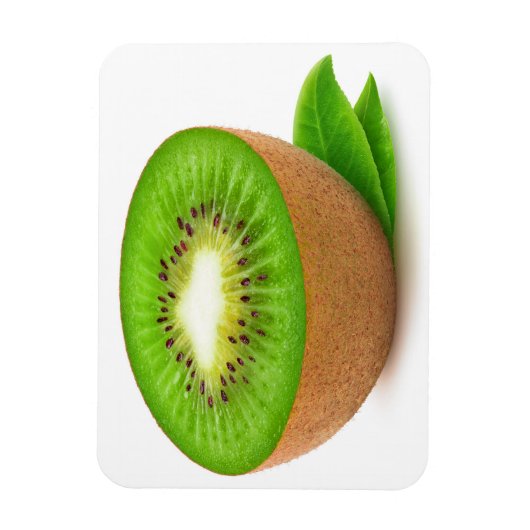 Kiwi-Obst Magnet (Vertikal)