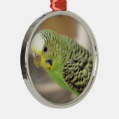 Kiwi Ornament Aus Metall (Rechts)