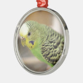Kiwi Ornament Aus Metall (Links)