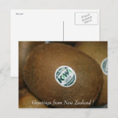 Kiwi Postkarte (Vorne/Hinten)