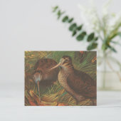 Kiwi Postkarte (Stehend Vorderseite)