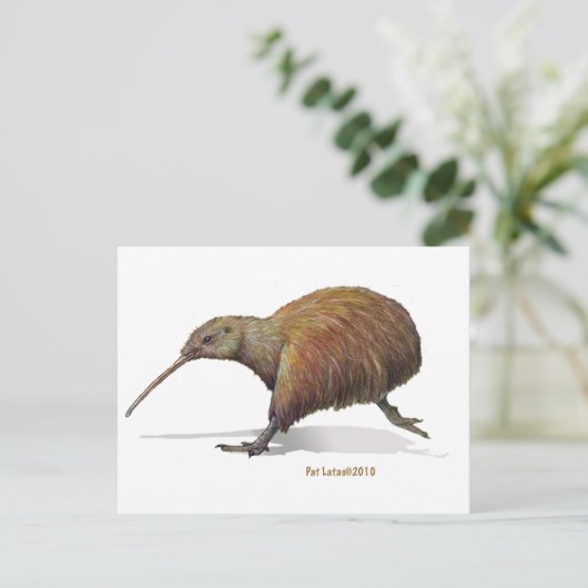 Kiwi Postkarte (Stehend Vorderseite)