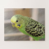 Kiwi Puzzle (Horizontal)