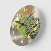 Kiwi Runde Wanduhr (Winkel)