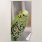 Kiwi Strandtuch (Vorderseite)