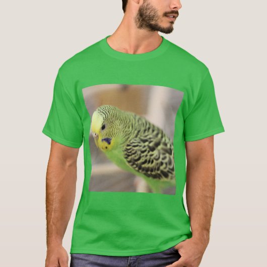 Kiwi T-Shirt (Vorderseite)