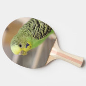Kiwi Tischtennis Schläger (Seitenansicht)