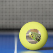 Kiwi Tischtennisball (Netto)