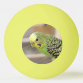 Kiwi Tischtennisball (Rückseite)