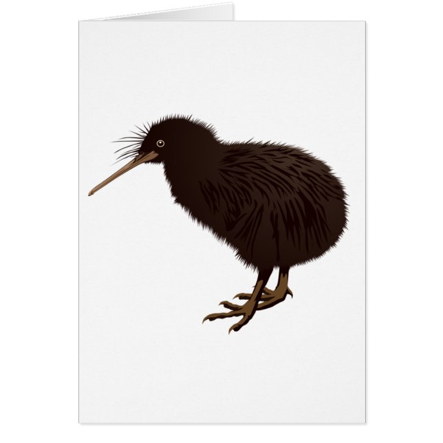 Kiwi-Vogel (Vorne)