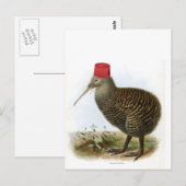 Kiwi-Vogel mit Fez Absurd Vintage Postkarte (Vorne/Hinten)
