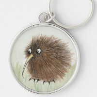 Kiwi-Vogel