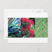 Kiwiana fern paua pohutukawa postkarte (Vorne/Hinten)