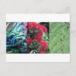 Kiwiana fern paua pohutukawa postkarte