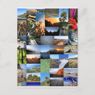 Kiwiana Neuseeland Natur landschaftliche Montage Postkarte