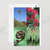 Kiwiana Neuseeland Postkarte (Vorne/Hinten)