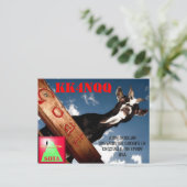 KK4NQQ QSL KARTE (Stehend Vorderseite)