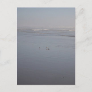 Klalaoch & Birds Postkarte