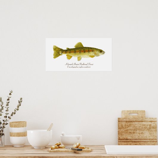 Klameth Basin Redband Trout Poster (Küche)