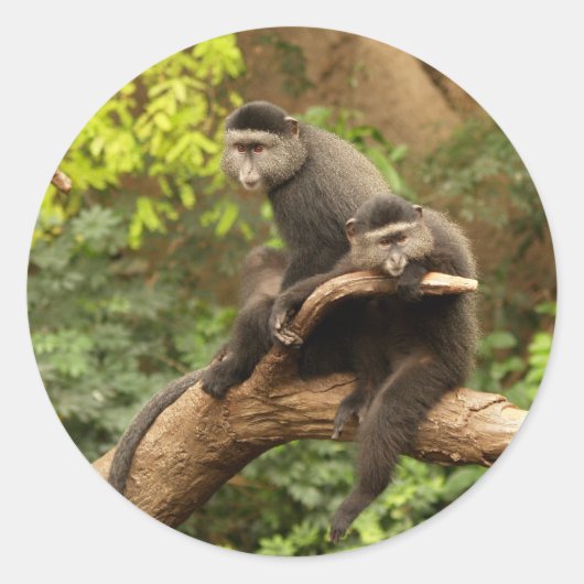 Klammer Runder Aufkleber (Vorderseite)