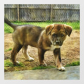 Klammern des T - Shirt der Welpengerade Fensteraufkleber (Blatt)