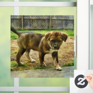 Klammern des T - Shirt der Welpengerade Fensteraufkleber