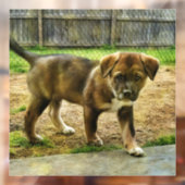 Klammern des T - Shirt der Welpengerade Fensteraufkleber (Blatt 2)