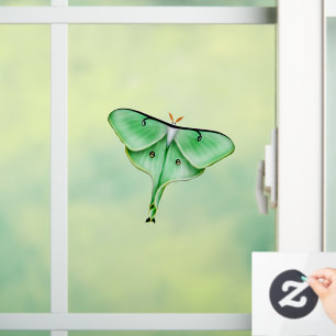 Klammern des "Wild Luna Moth Insect Bug Window" Fensteraufkleber