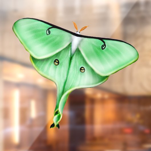 Klammern des "Wild Luna Moth Insect Bug Window" Fensteraufkleber (Blatt 2)